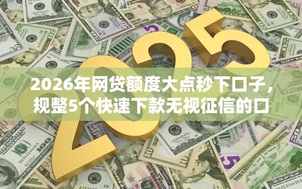 2026年网贷额度大点秒下口子，规整5个快速下款无视征信的口子