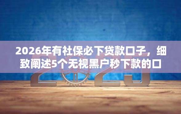 2026年有社保必下贷款口子，细致阐述5个无视黑户秒下款的口子