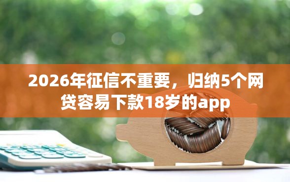 2026年征信不重要，归纳5个网贷容易下款18岁的app