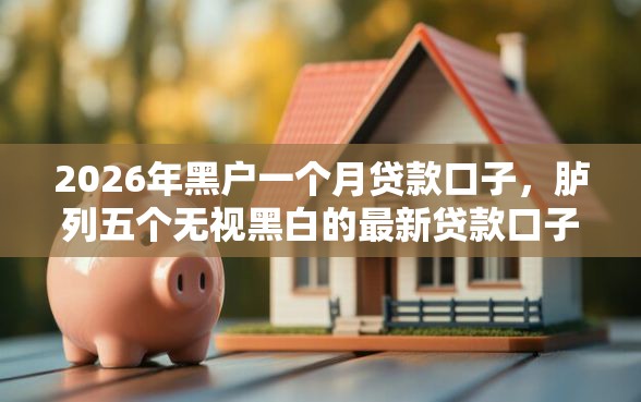 2026年黑户一个月贷款口子，胪列五个无视黑白的最新贷款口子
