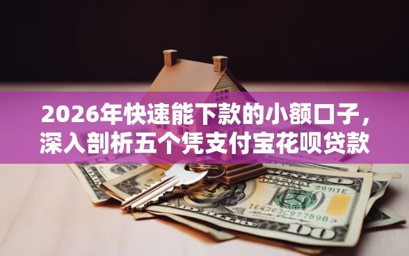 2026年快速能下款的小额口子，深入剖析五个凭支付宝花呗贷款的平台
