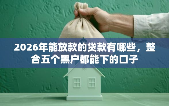 2026年能放款的贷款有哪些，整合五个黑户都能下的口子