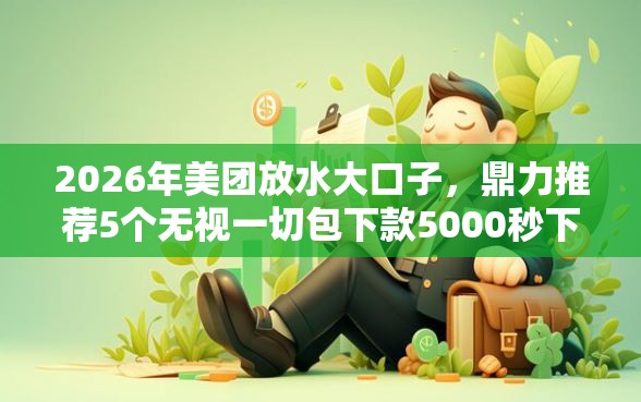 2026年美团放水大口子，鼎力推荐5个无视一切包下款5000秒下款的软件