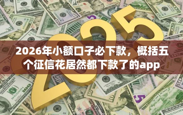 2026年小额口子必下款，概括五个征信花居然都下款了的app