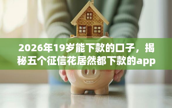 2026年19岁能下款的口子，揭秘五个征信花居然都下款的app