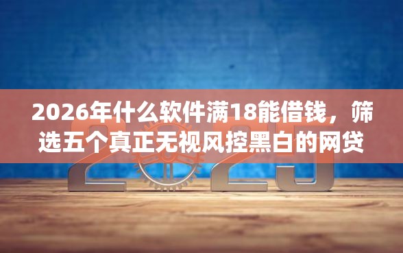 2026年什么软件满18能借钱,筛选五个真正无视风控黑白的网贷app 2026年什么软件满18能借钱,筛选五个真正无视风控黑白的网贷app