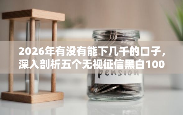 2026年有没有能下几千的口子，深入剖析五个无视征信黑白100%秒下口子