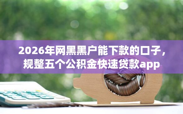 2026年网黑黑户能下款的口子，规整五个公积金快速贷款app