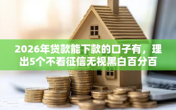 2026年贷款能下款的口子有，理出5个不看征信无视黑白百分百下款平台