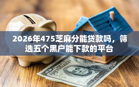 2026年475芝麻分能贷款吗，筛选五个黑户能下款的平台