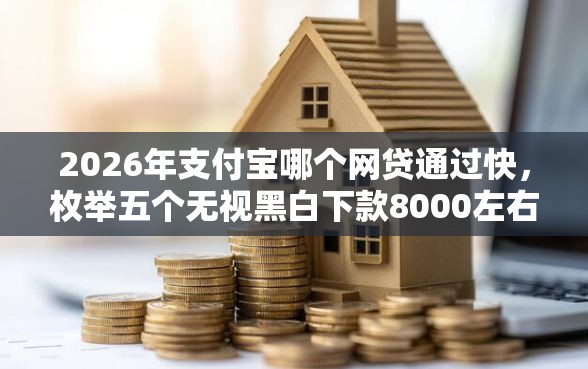 2026年支付宝哪个网贷通过快，枚举五个无视黑白下款8000左右的口子