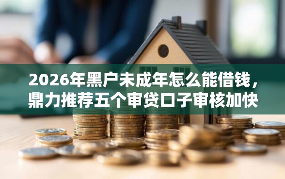 2026年黑户未成年怎么能借钱,鼎力推荐五个审贷口子审核加快的平台 2026年黑户未成年怎么能借钱,鼎力推荐五个审贷口子审核加快的平台