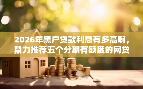 2026年黑户贷款利息有多高啊，鼎力推荐五个分期有额度的网贷软件