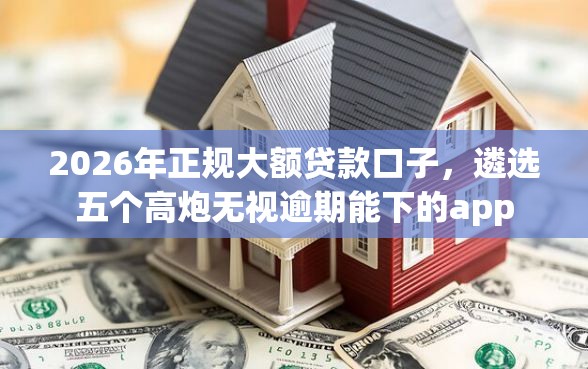 2026年正规大额贷款口子，遴选五个高炮无视逾期能下的app