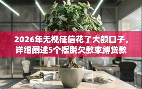 2026年无视征信花了大额口子，详细阐述5个摆脱欠款束缚贷款新app