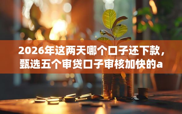 2026年这两天哪个口子还下款，甄选五个审贷口子审核加快的app