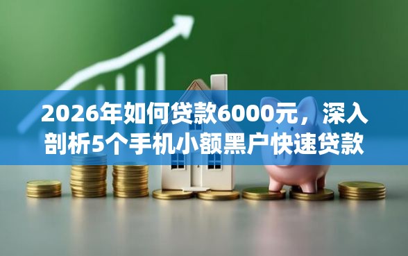 2026年如何贷款6000元，深入剖析5个手机小额黑户快速贷款app