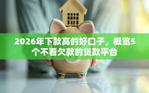 2026年下款高的好口子，概览5个不看欠款的贷款平台