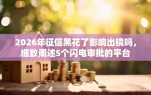 2026年征信黑花了影响出镜吗，细致阐述5个闪电审批的平台