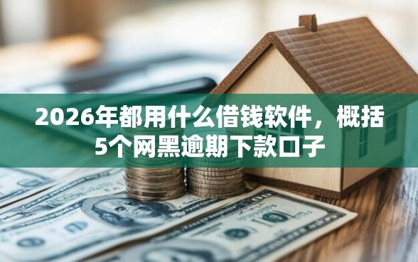 2026年都用什么借钱软件，概括5个网黑逾期下款口子