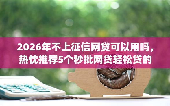 2026年不上征信网贷可以用吗，热忱推荐5个秒批网贷轻松贷的app