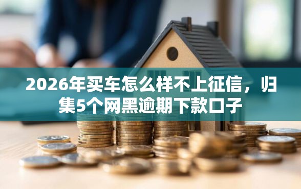 2026年买车怎么样不上征信，归集5个网黑逾期下款口子