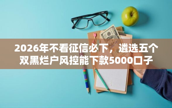 2026年不看征信必下，遴选五个双黑烂户风控能下款5000口子