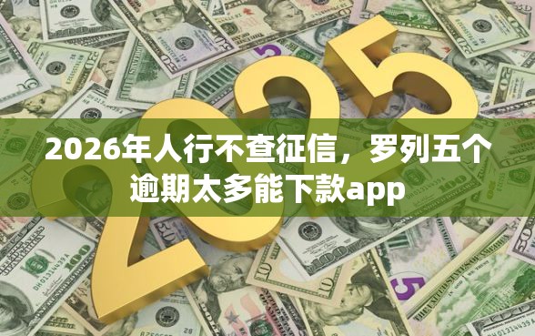 2026年人行不查征信，罗列五个逾期太多能下款app