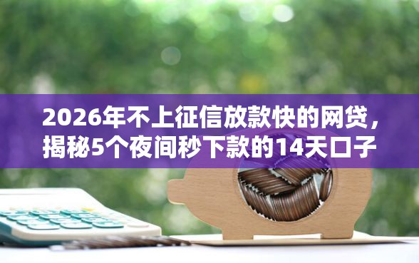 2026年不上征信放款快的网贷,揭秘5个夜间秒下款的14天口子 2026年不上征信放款快的网贷,揭秘5个夜间秒下款的14天口子