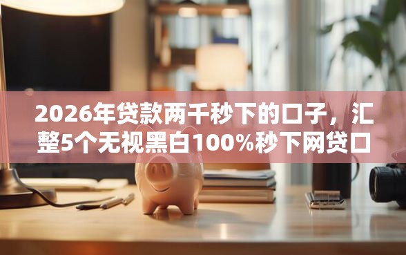 2026年贷款两千秒下的口子，汇整5个无视黑白100%秒下网贷口子