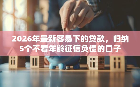 2026年最新容易下的贷款，归纳5个不看年龄征信负债的口子