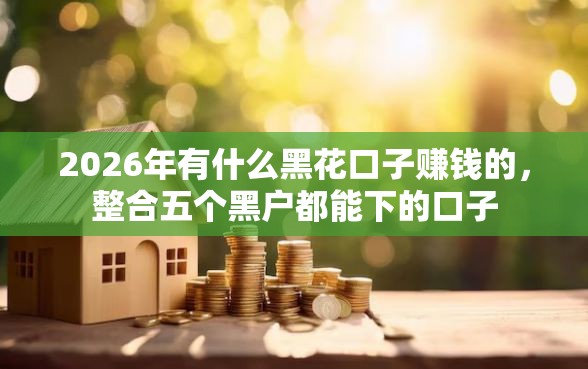 2026年有什么黑花口子赚钱的，整合五个黑户都能下的口子