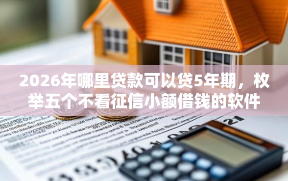 2026年哪里贷款可以贷5年期，枚举五个不看征信小额借钱的软件