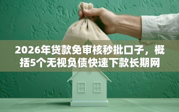 2026年贷款免审核秒批口子，概括5个无视负债快速下款长期网贷的口子