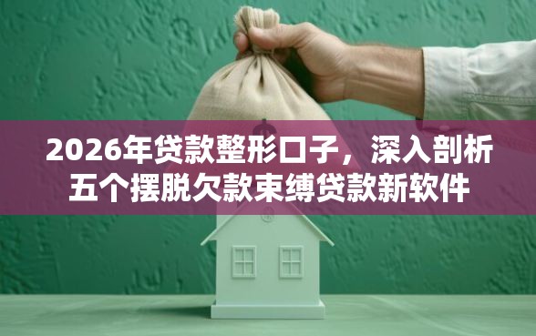 2026年贷款整形口子，深入剖析五个摆脱欠款束缚贷款新软件