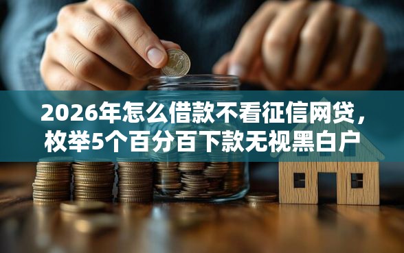 2026年怎么借款不看征信网贷，枚举5个百分百下款无视黑白户口子