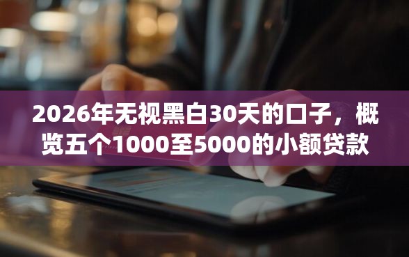 2026年无视黑白30天的口子，概览五个1000至5000的小额贷款app