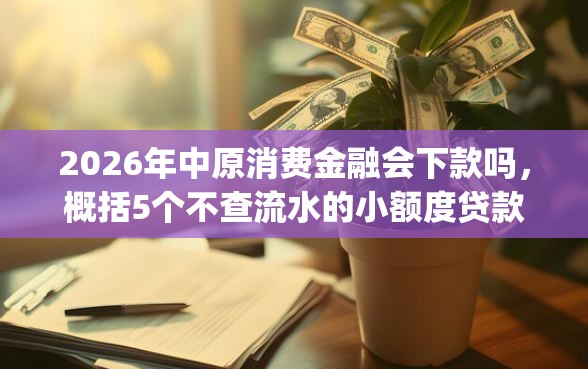 2026年中原消费金融会下款吗，概括5个不查流水的小额度贷款app