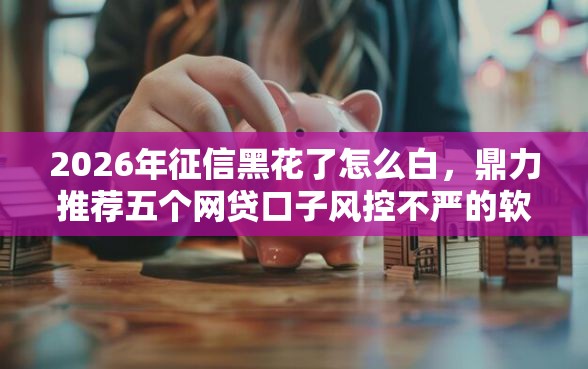 2026年征信黑花了怎么白，鼎力推荐五个网贷口子风控不严的软件