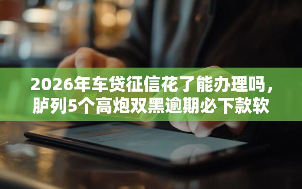 2026年车贷征信花了能办理吗，胪列5个高炮双黑逾期必下款软件