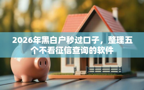 2026年黑白户秒过口子，整理五个不看征信查询的软件