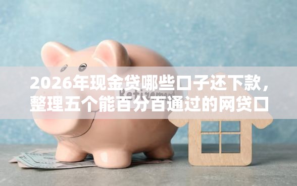 2026年现金贷哪些口子还下款，整理五个能百分百通过的网贷口子
