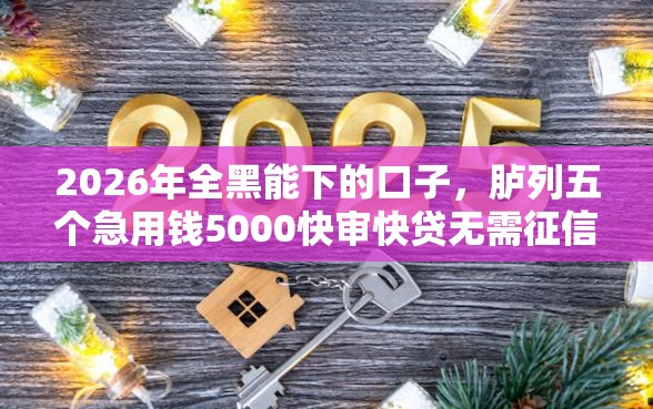 2026年全黑能下的口子，胪列五个急用钱5000快审快贷无需征信口子