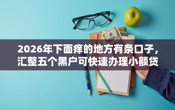 2026年下面痒的地方有条口子，汇整五个黑户可快速办理小额贷款业务的口子