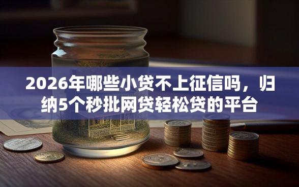 2026年哪些小贷不上征信吗，归纳5个秒批网贷轻松贷的平台