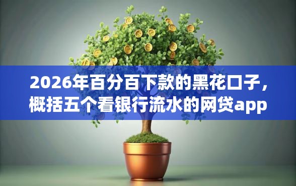 2026年百分百下款的黑花口子，概括五个看银行流水的网贷app