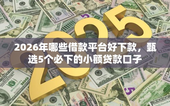 2026年哪些借款平台好下款，甄选5个必下的小额贷款口子