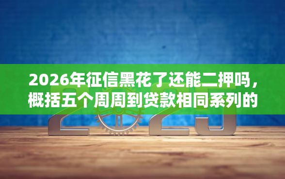 2026年征信黑花了还能二押吗，概括五个周周到贷款相同系列的软件