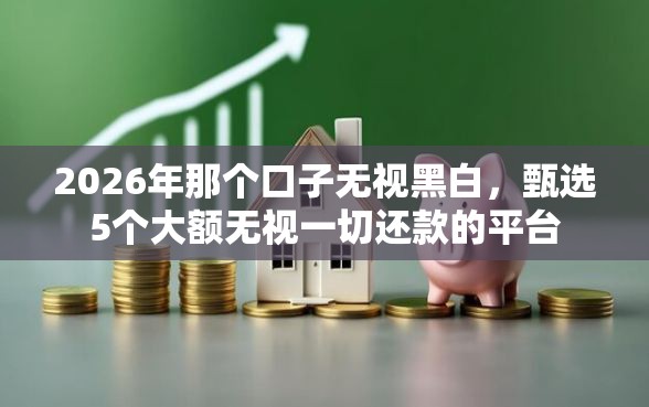 2026年那个口子无视黑白，甄选5个大额无视一切还款的平台