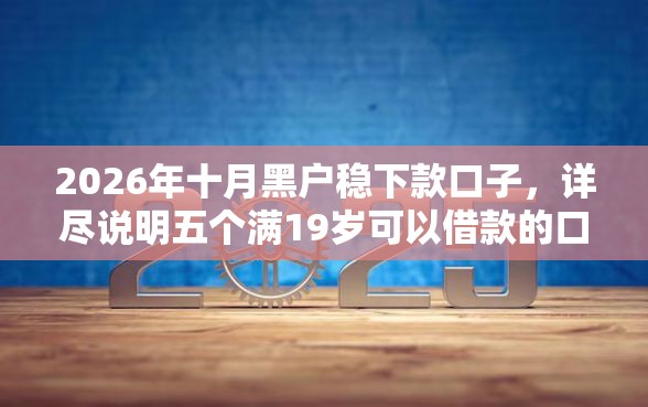 2026年十月黑户稳下款口子，详尽说明五个满19岁可以借款的口子